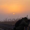 Sonnenaufgang am Federsee